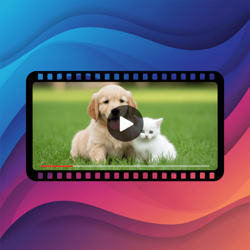 Video Downloader